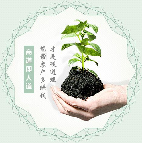 蔬菜種子經(jīng)營(yíng)，商道即人道