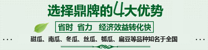 購(gòu)買(mǎi)蔬菜種子，選擇鼎牌的四大優(yōu)勢(shì)