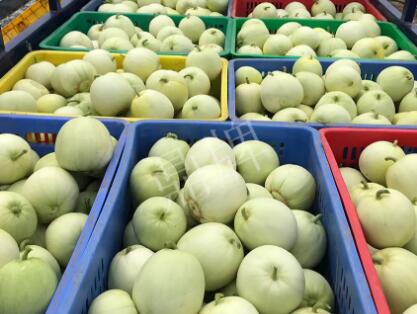 蔬菜種子種植戶客戶點評-5元1斤，這個新品種真香甜！