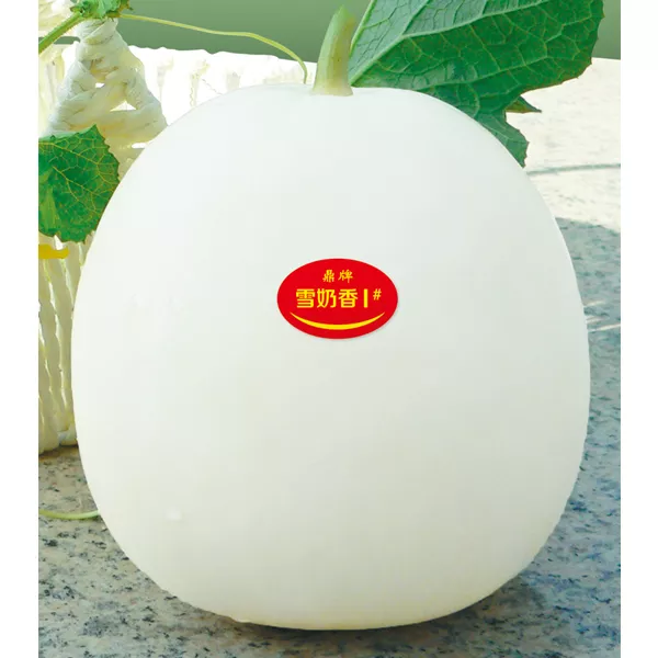 薄皮甜瓜，哪個(gè)品種最好呢？畝產(chǎn)高達(dá)10萬，附4種市場爆款品種