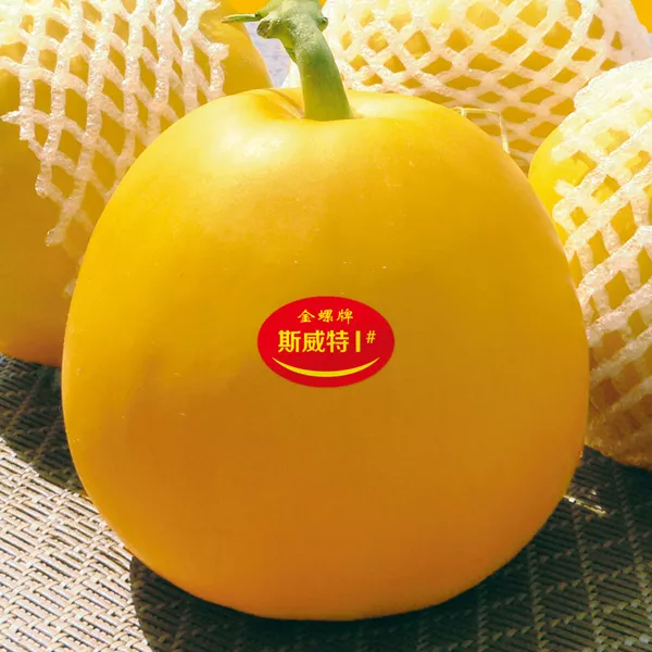 薄皮甜瓜，哪個(gè)品種最好呢？畝產(chǎn)高達(dá)10萬，附4種市場爆款品種