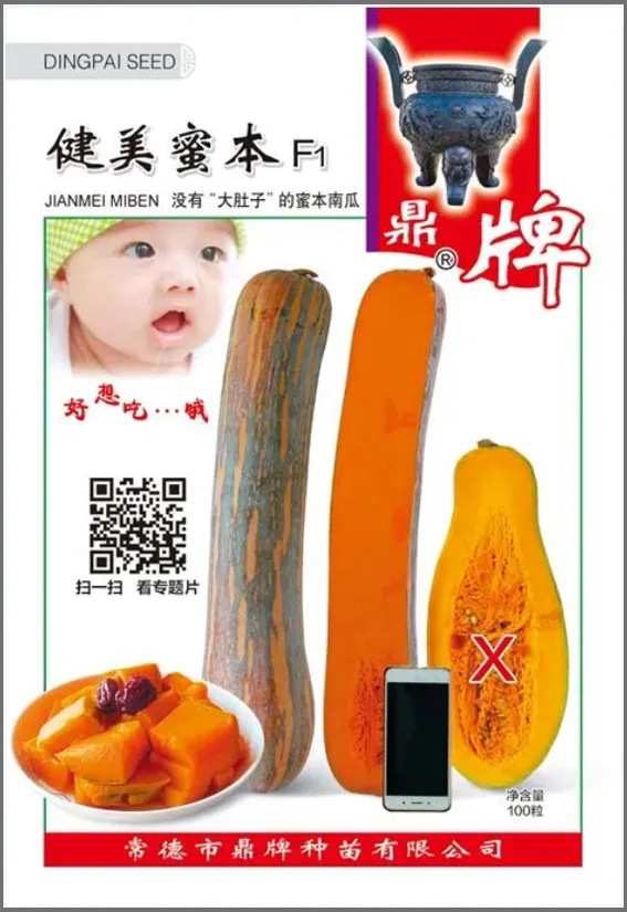 3元1斤的健美蜜本南瓜快成熟了，緬甸種植戶發(fā)來(lái)圖片與視頻