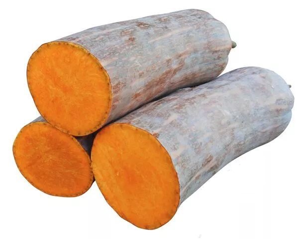 生吃都好吃南瓜新品種，沒有大肚子，肉質(zhì)更密致，農(nóng)戶試種下