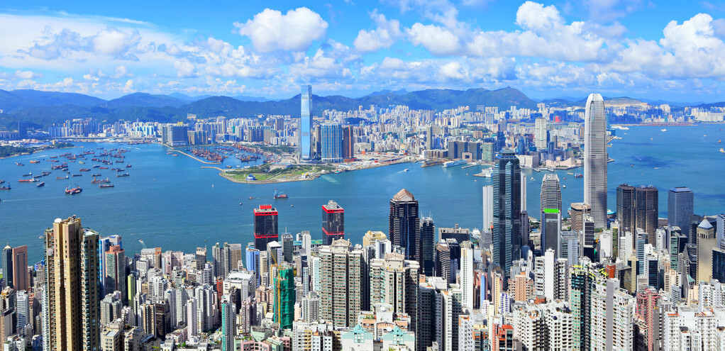 這個絲瓜畝產(chǎn)可達8000公斤，菜農(nóng)2021年致富的絲瓜品種
