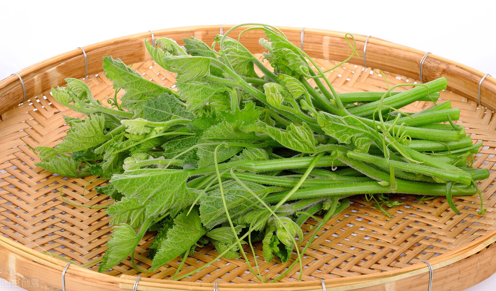 種這種綠葉菜，栽培輕松，畝產(chǎn)值過萬元，菜農(nóng)表示很劃算