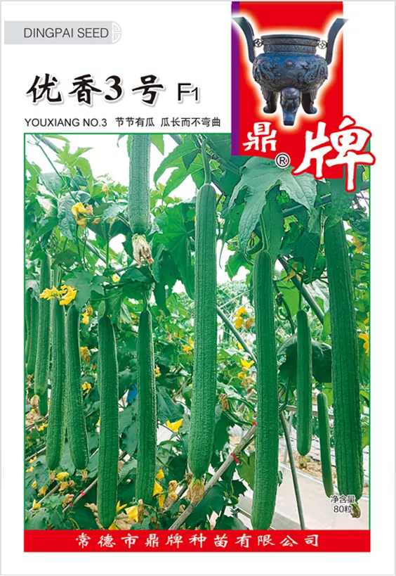 它是絲瓜種植戶的新選擇，節(jié)節(jié)有瓜，瓜長而不彎曲