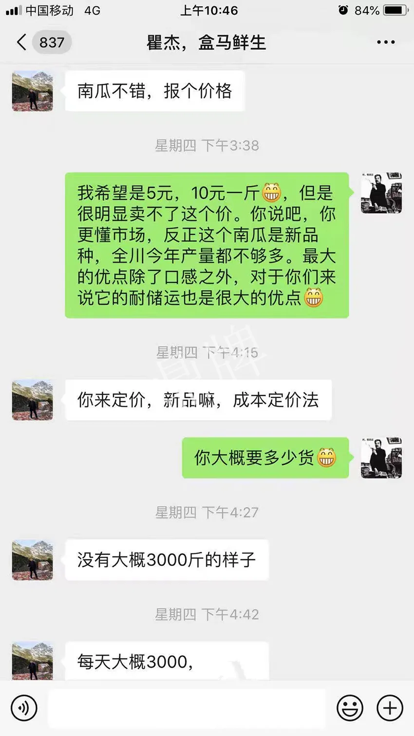 四川農(nóng)戶今年種“健美蜜本”南瓜產(chǎn)量高，品質(zhì)好，感覺(jué)巴適得很